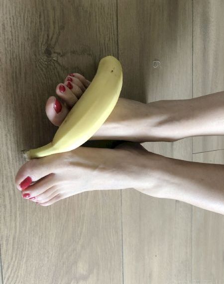 食草老龙被冠以恶龙之名第二季